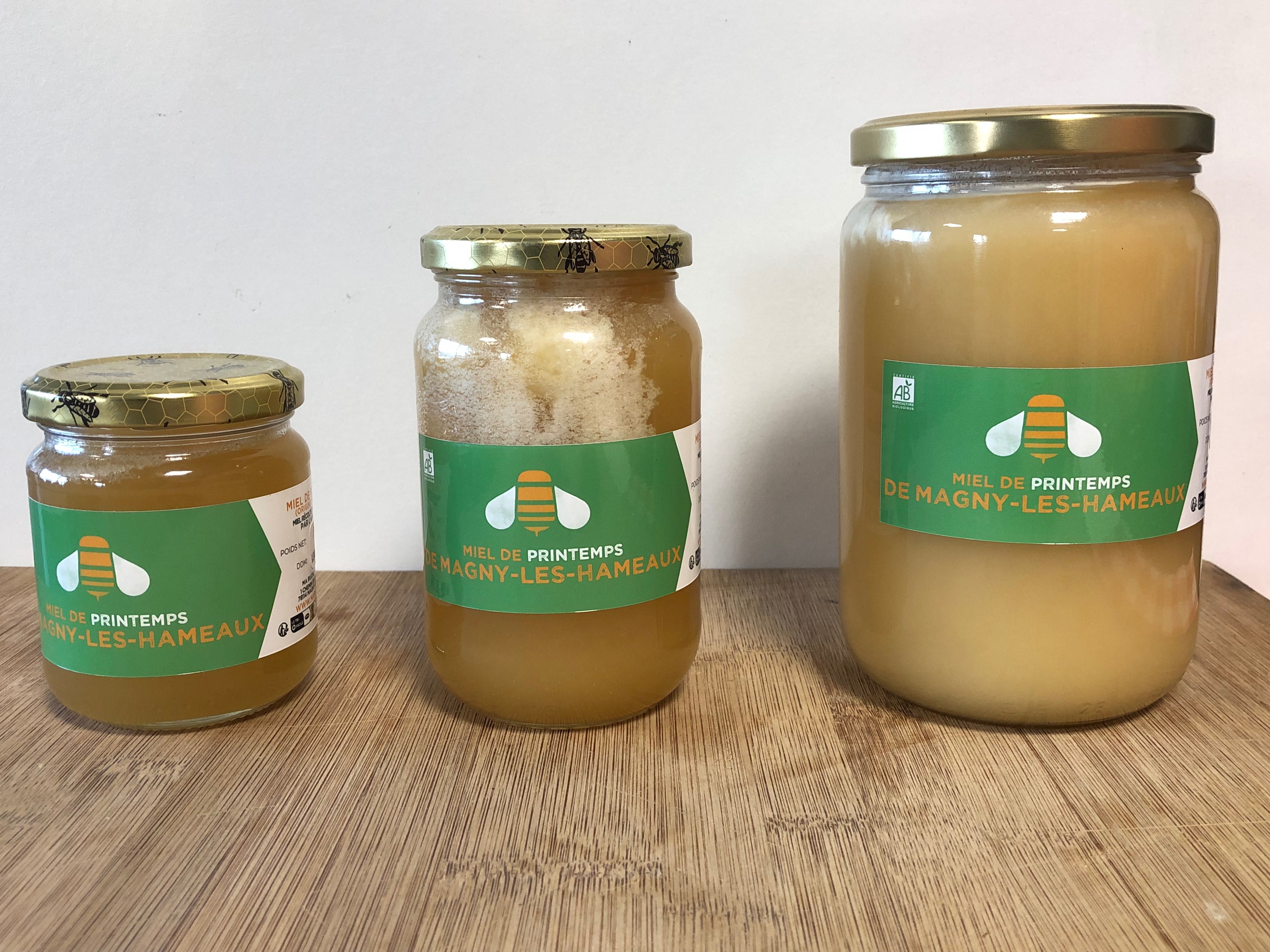 MIEL DE LA FERME (Magny-les-hameaux) - Fleurs de PRINTEMPS