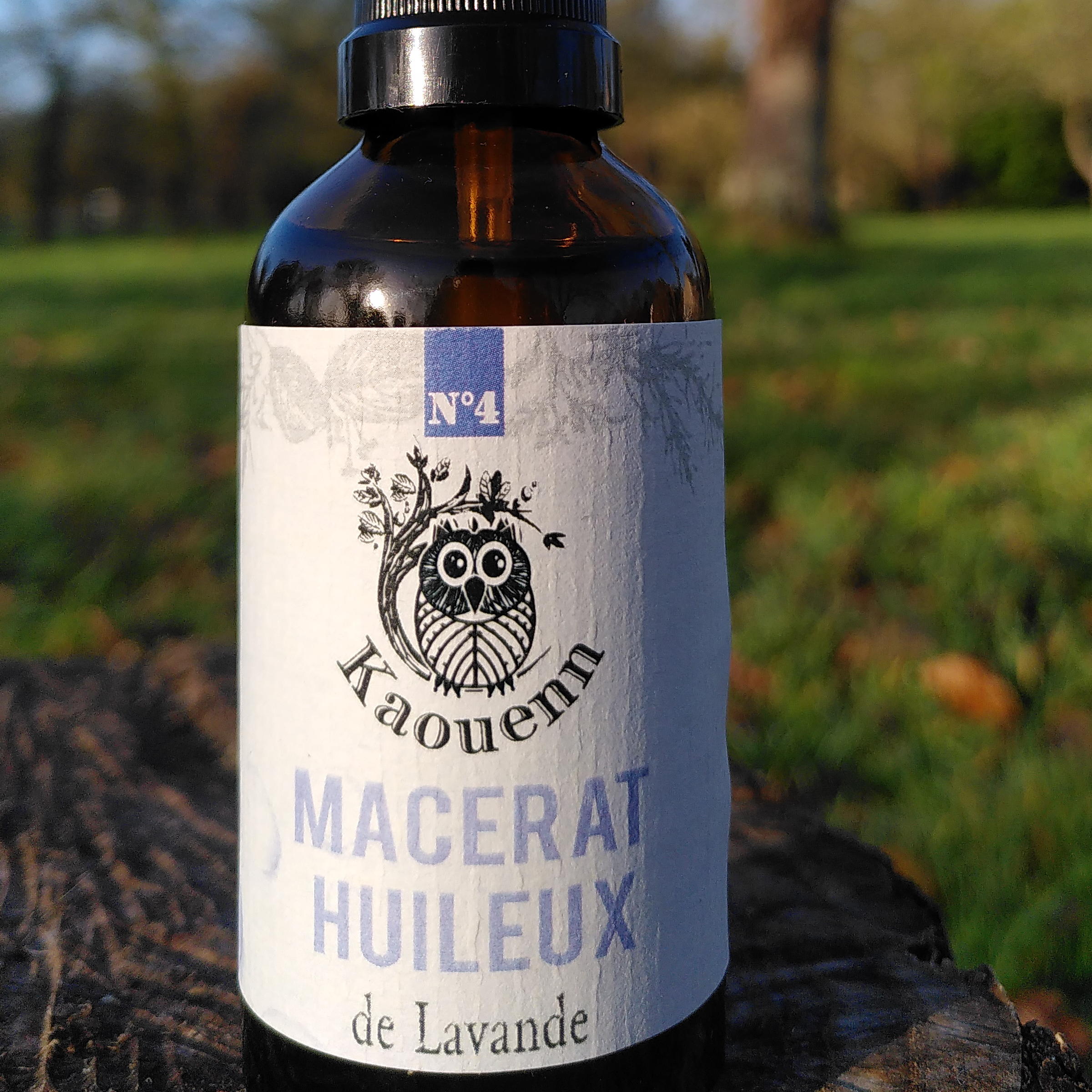 MACÉRAT HUILEUX DE LAVANDE - 50ml