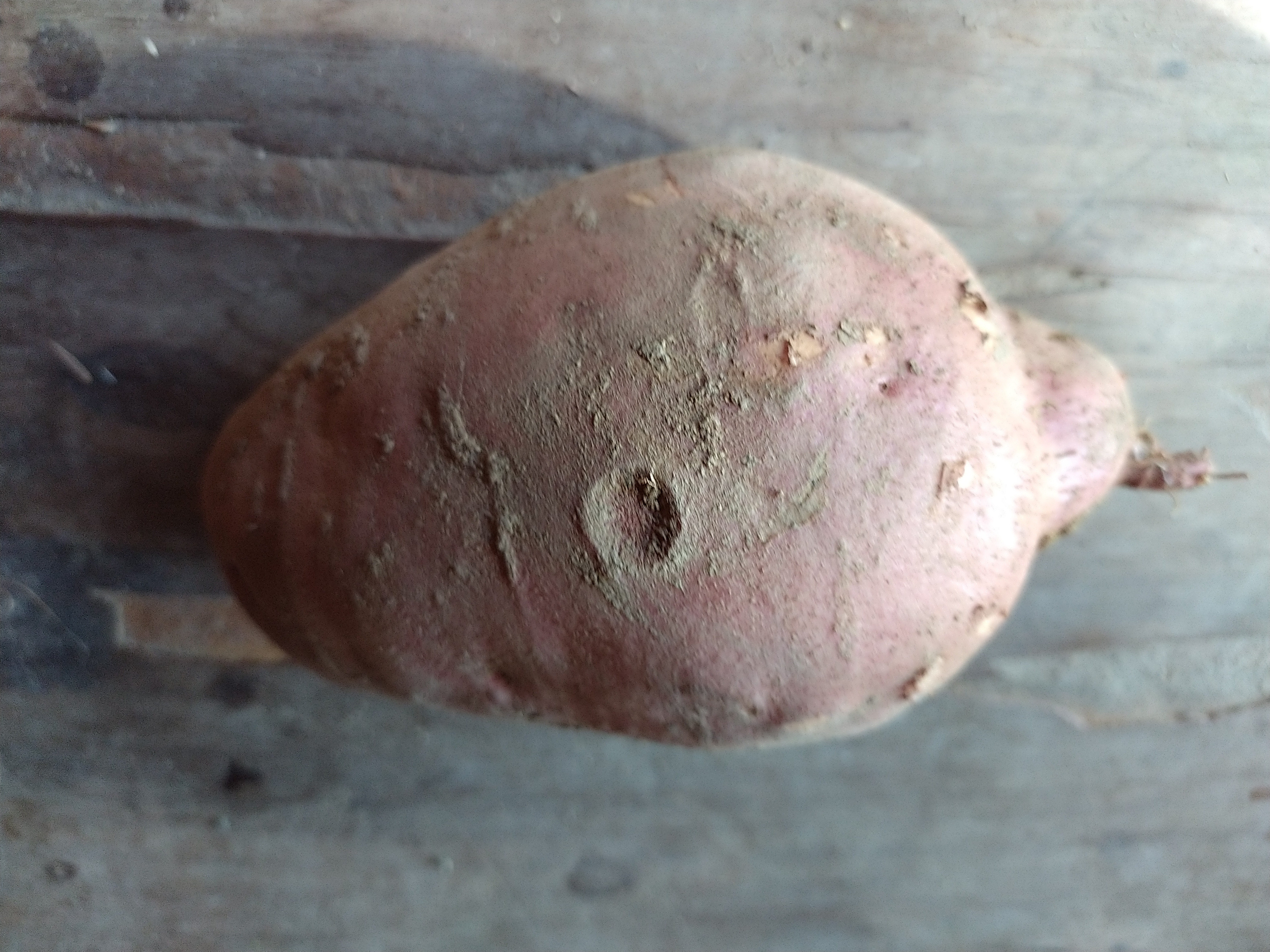 Patate Douce AB