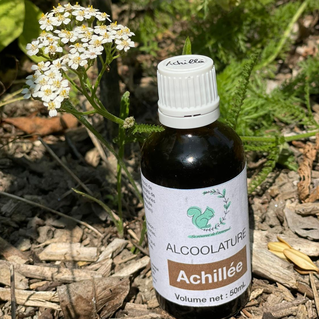 Alcoolature Achillée Millefeuille