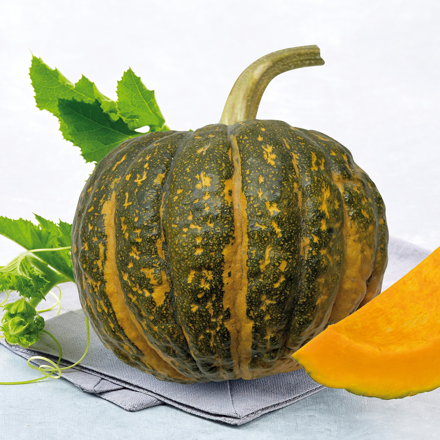 Courge Shiatsu - 1,5kg