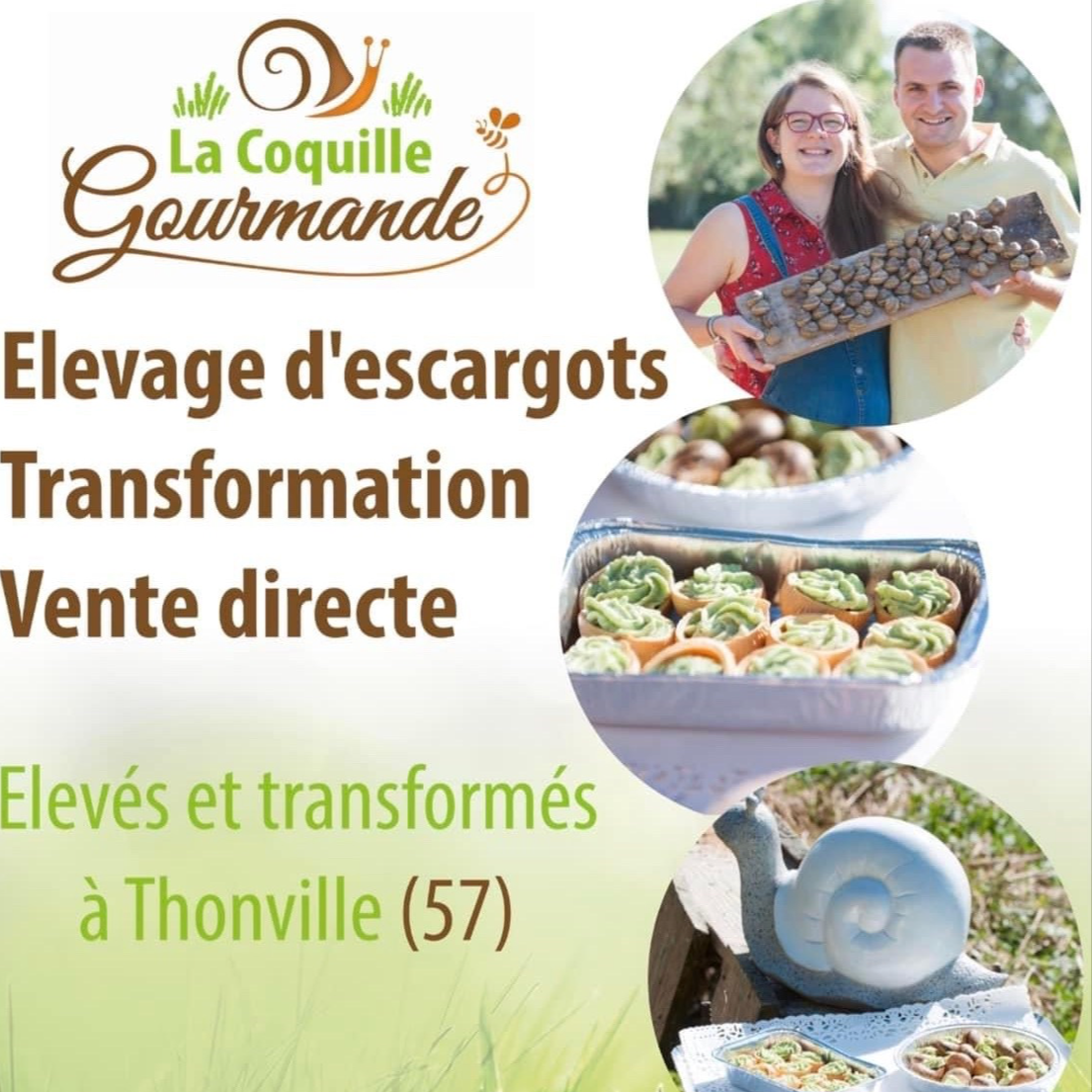 60 Escargots en cRoquille à l'ail des ours