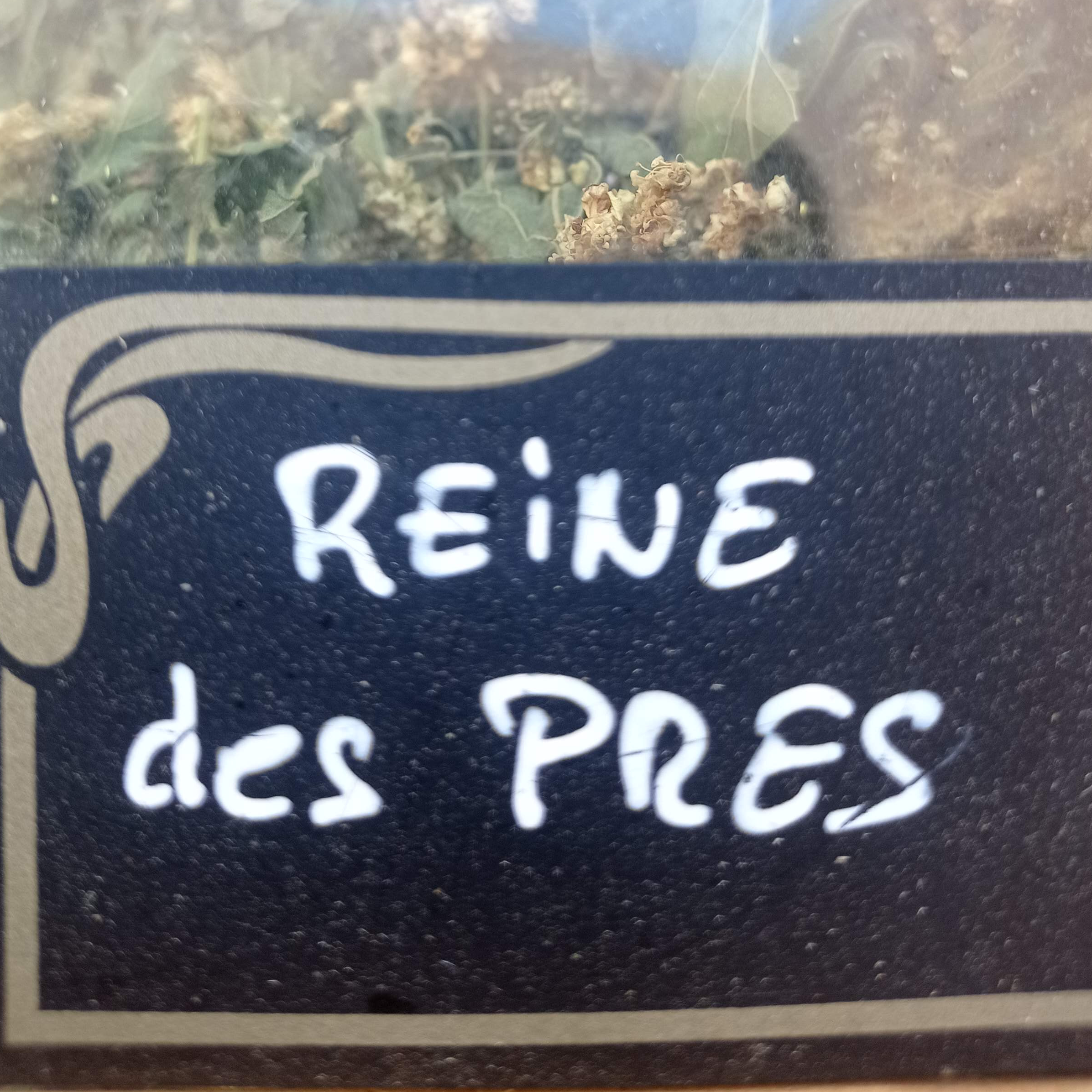 Reine des prés sachet de 25 g