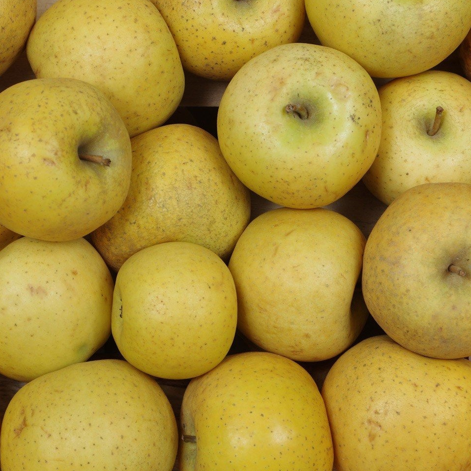 Pomme Chanteclerc - 800g