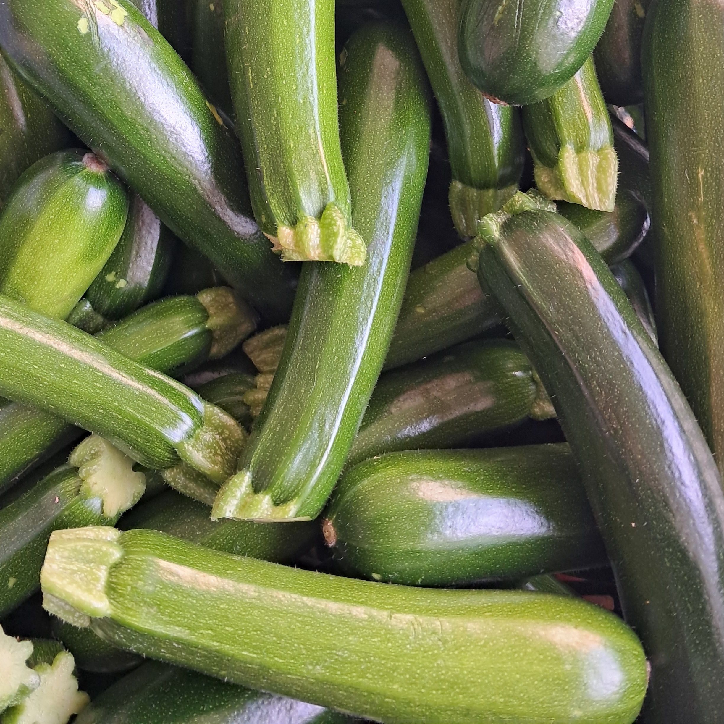 Courgettes