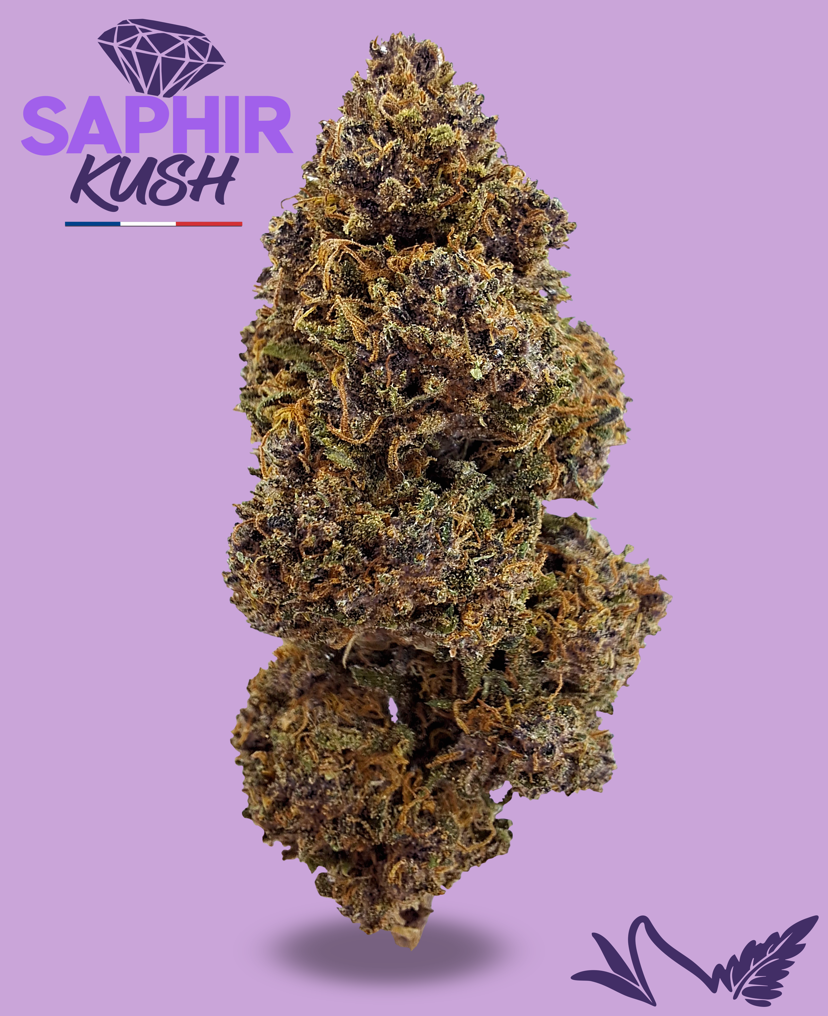 SAPHIR KUSH CBD