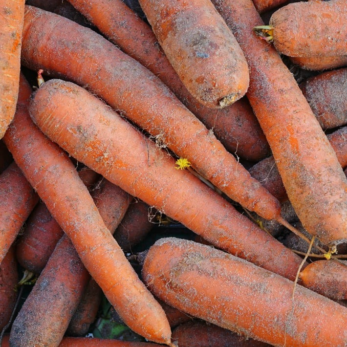 Carottes vrac non lavées