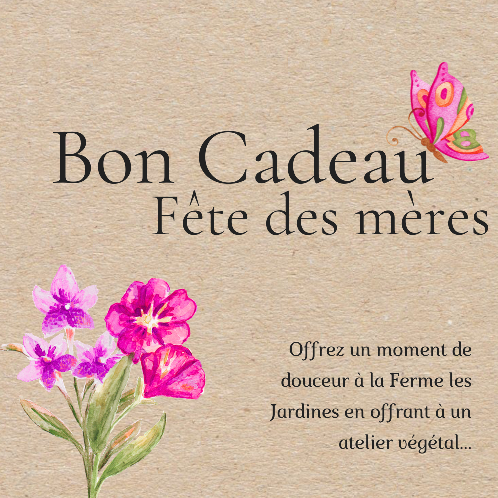 Bon Cadeau Fête des Mères 2026