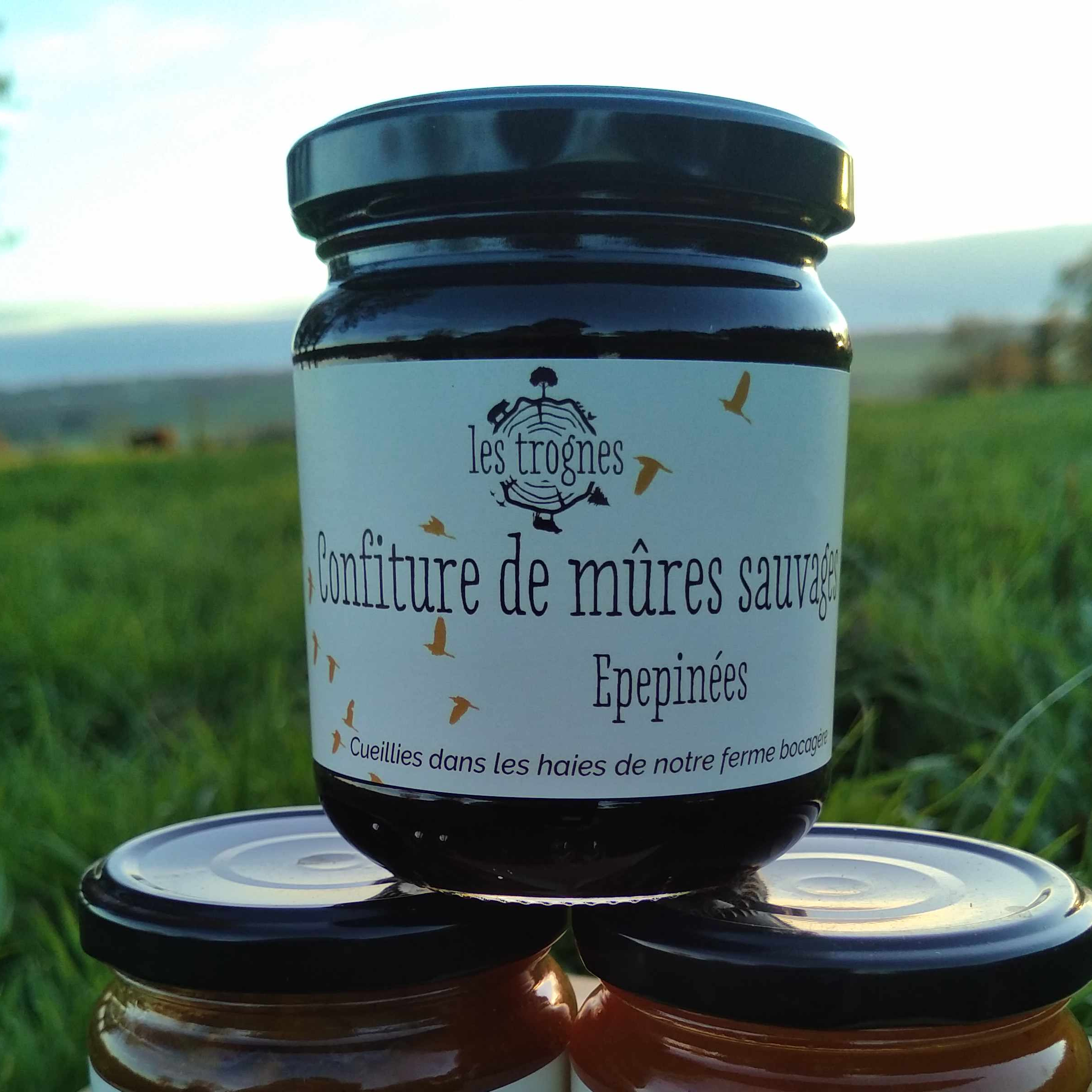 Confiture de mûres sauvages bio - 250g