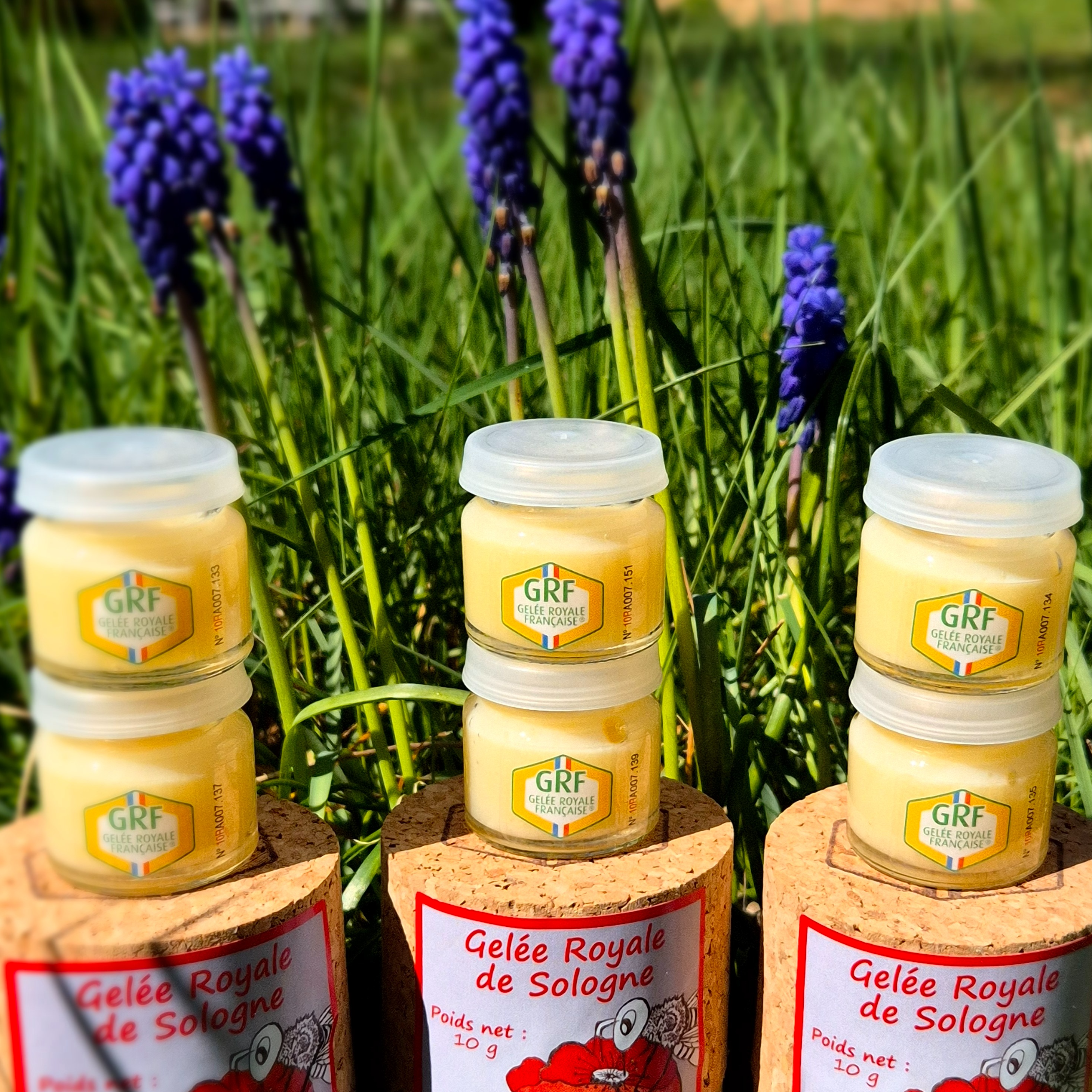 6 Pots De 10 G Dans 3 Coffrets Liège - 60g