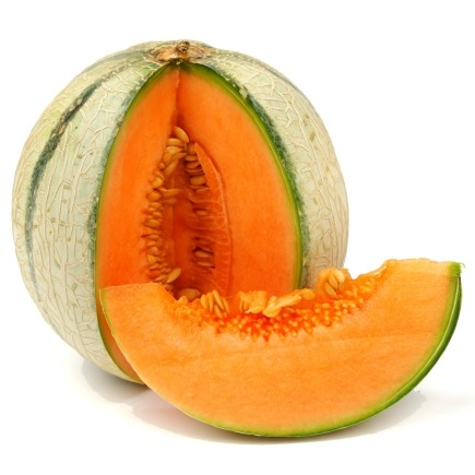 Melon Bio
