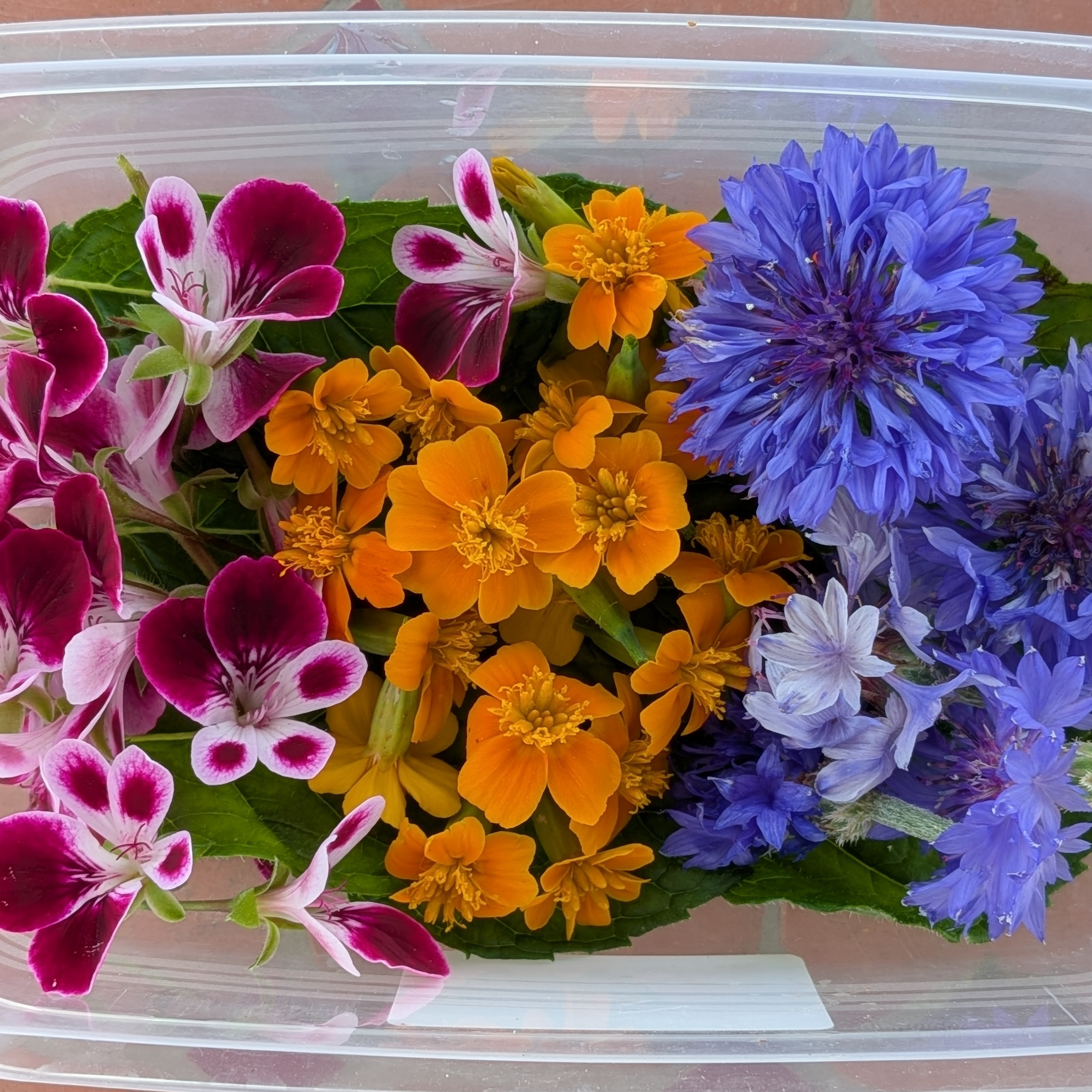 Mélange fleurs pour plats sucrés