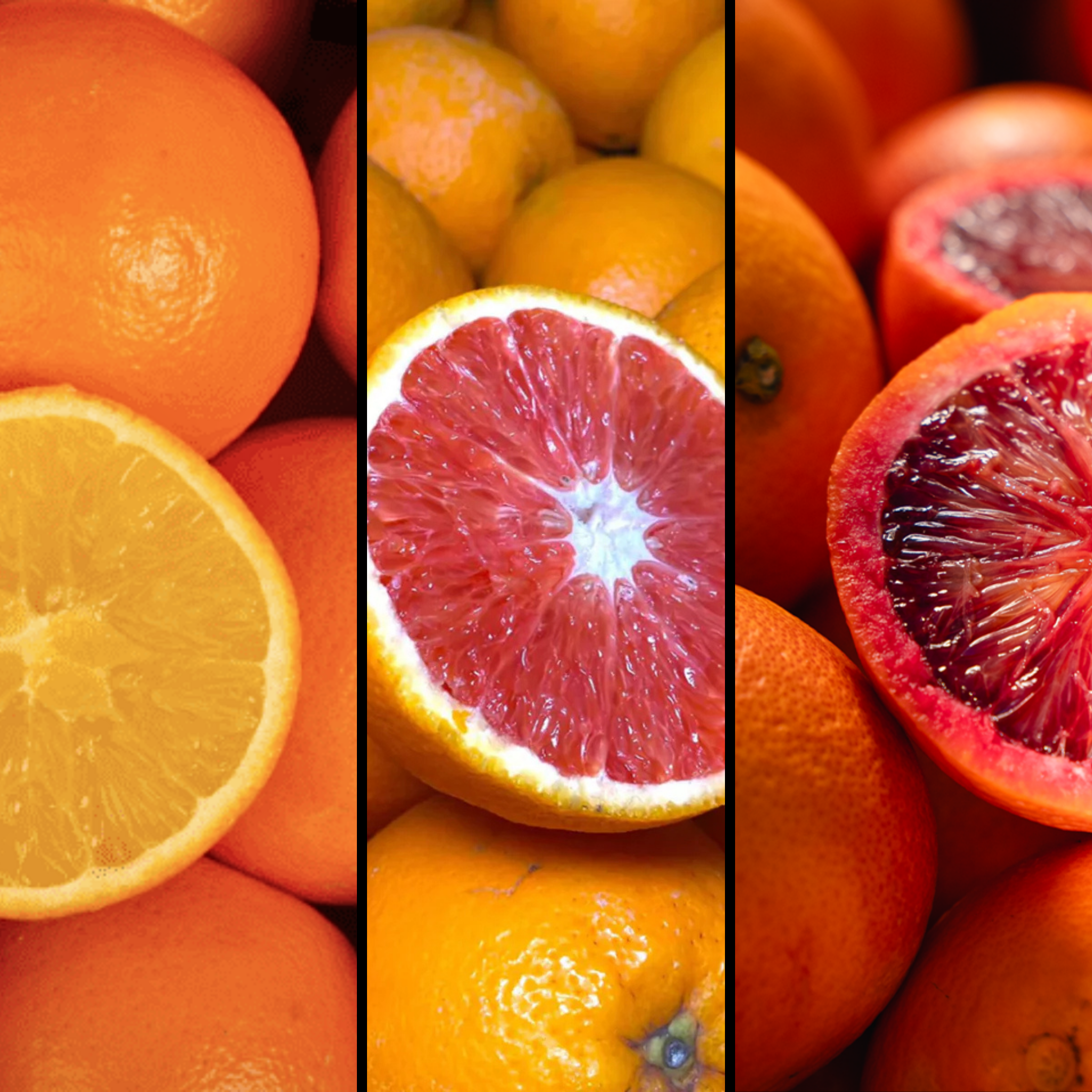 Orange "Orange-Rose-Rouge" - 800g