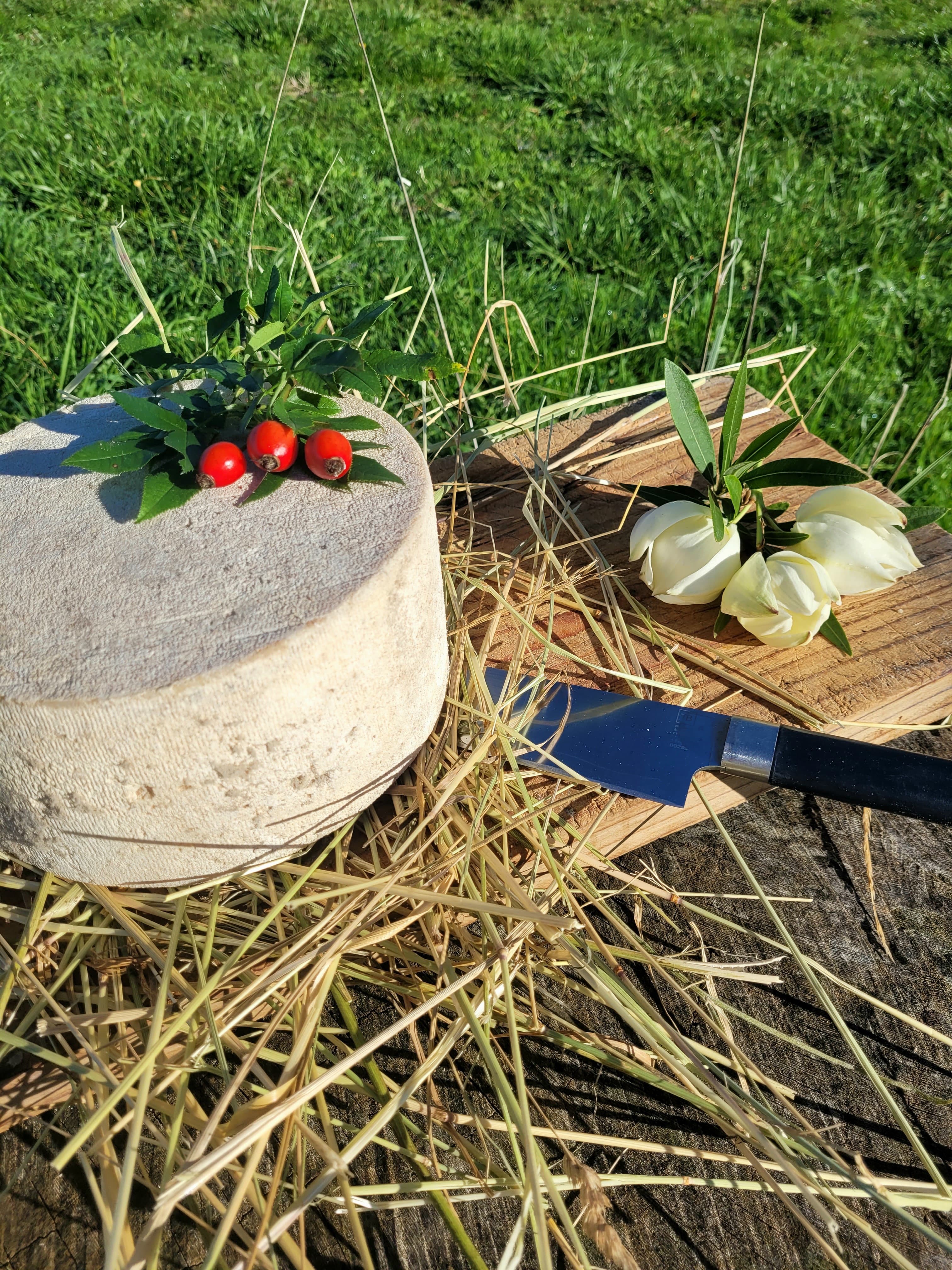 Tomme entière Tradition - 2400g