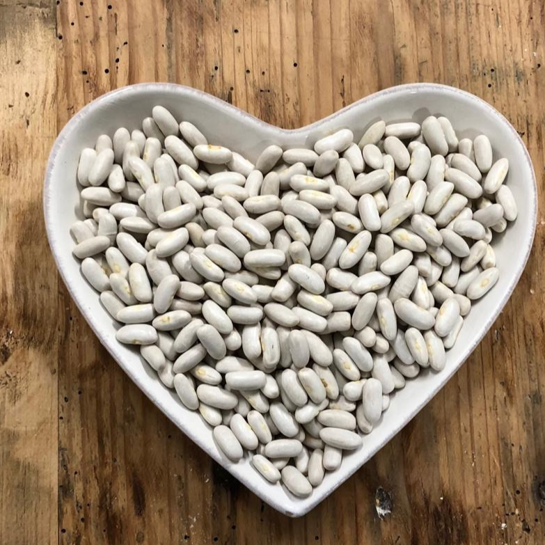Haricots blancs - 500g