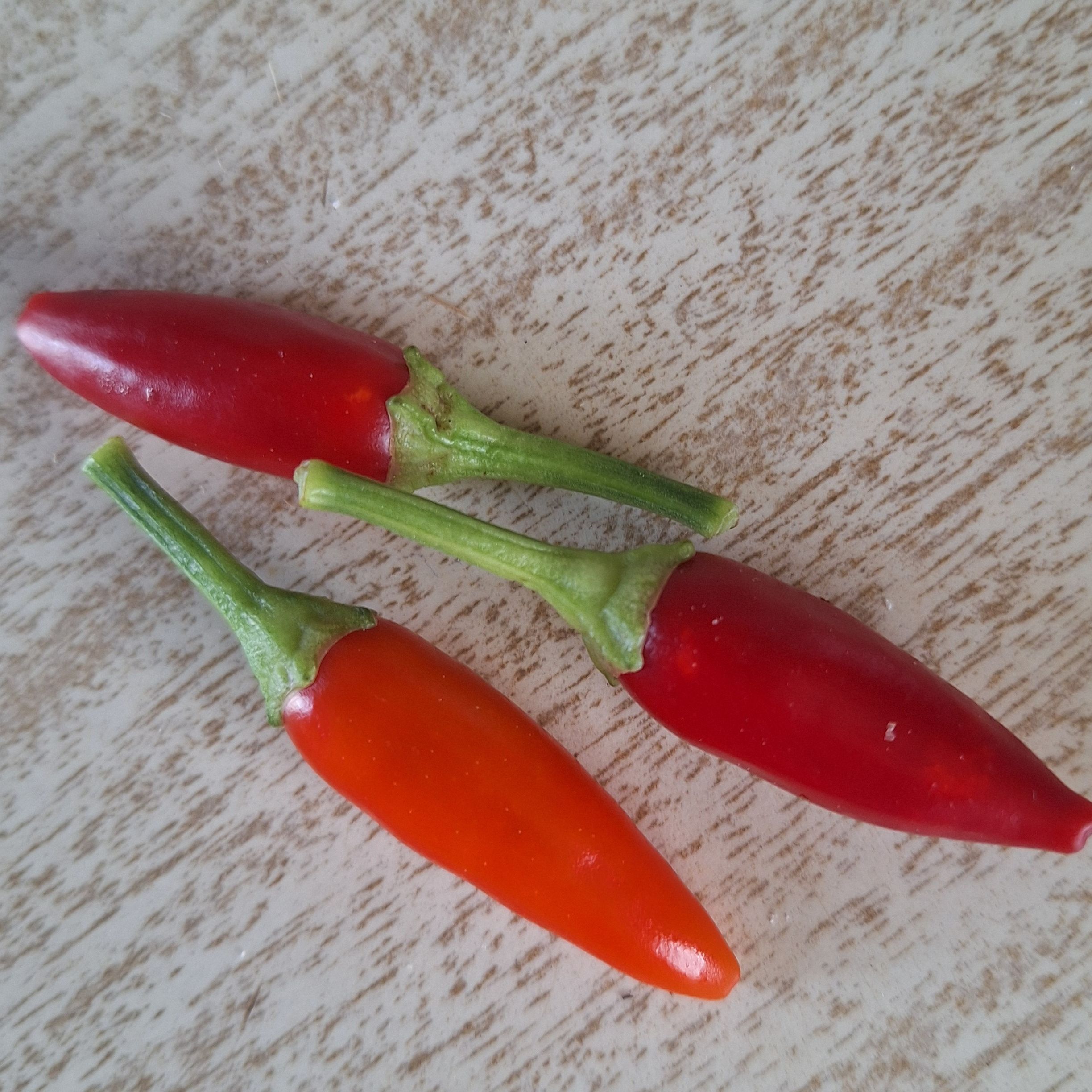 Piment fort Etna - 50g