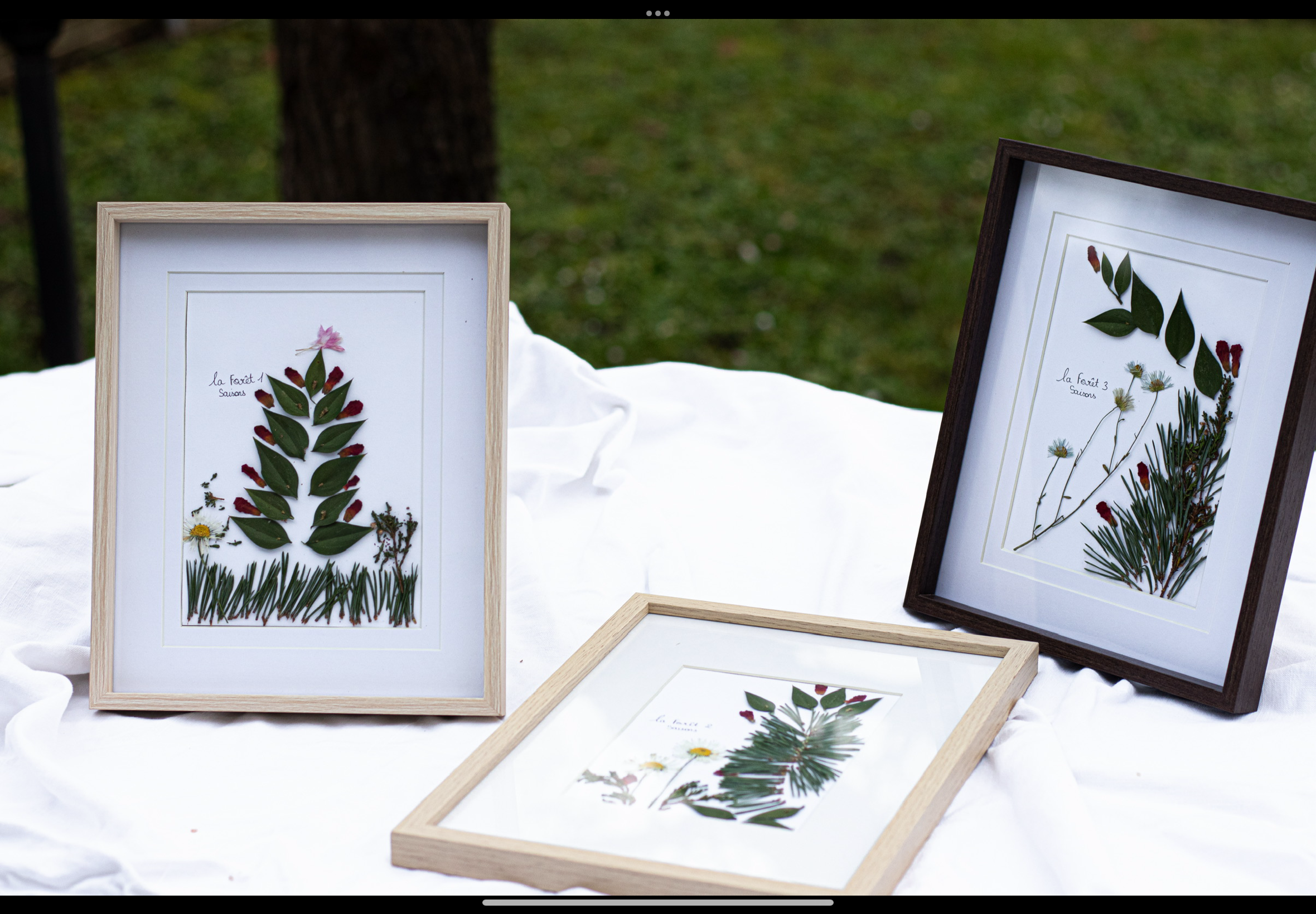 Composition de fleurs pressées - La forêt 1, 2 et 3 🌸