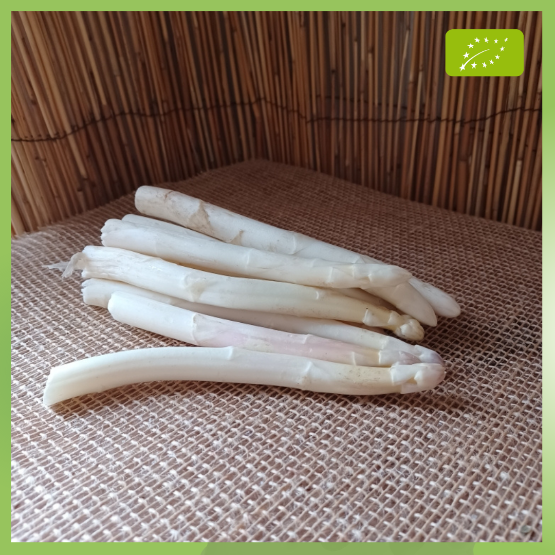 ASPERGE - 450g