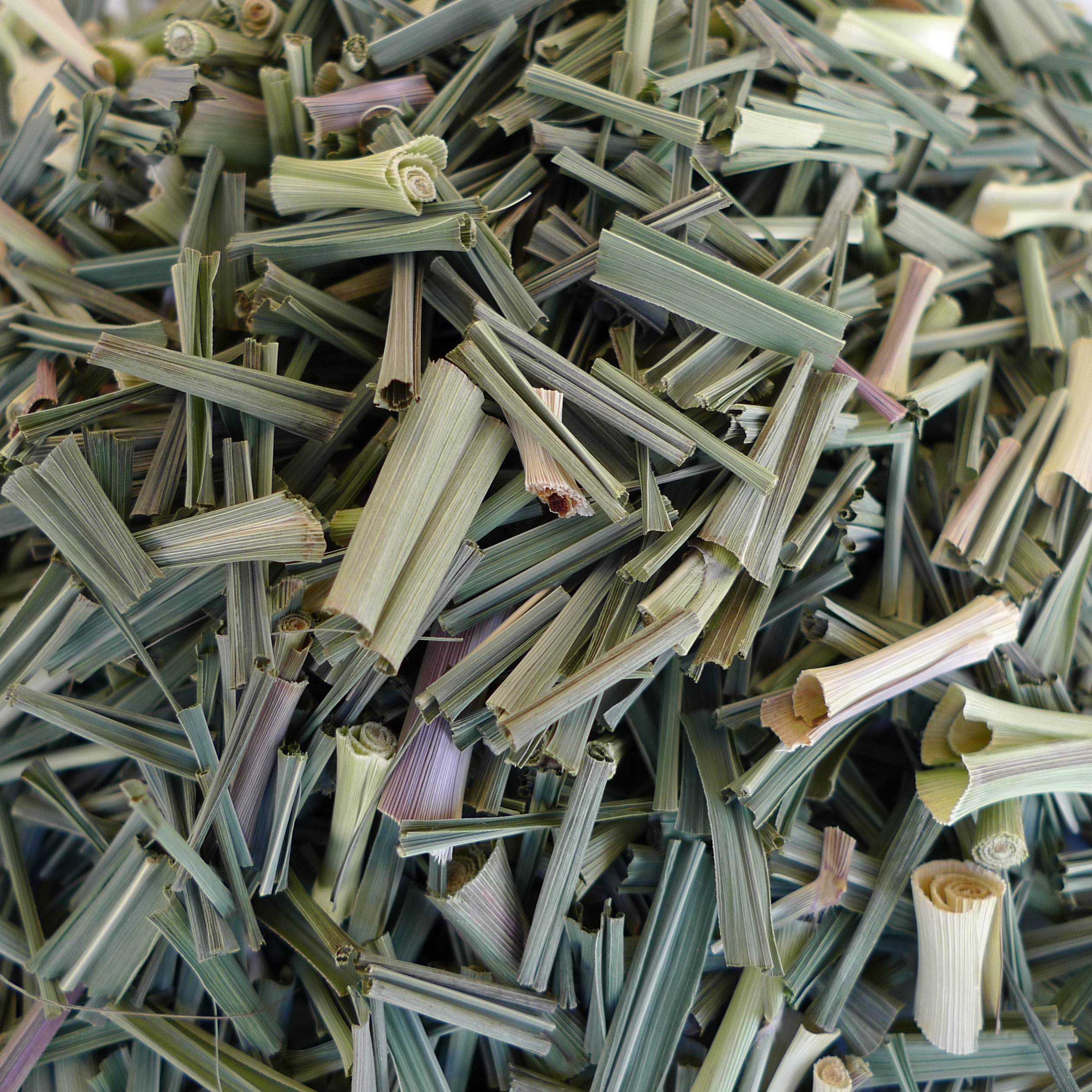 Citronnelle de Madagascar (feuilles) - 40g