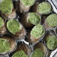assiette de coquille la douzaine