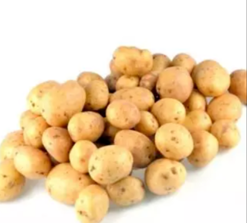 Pomme De Terre - Grenaille