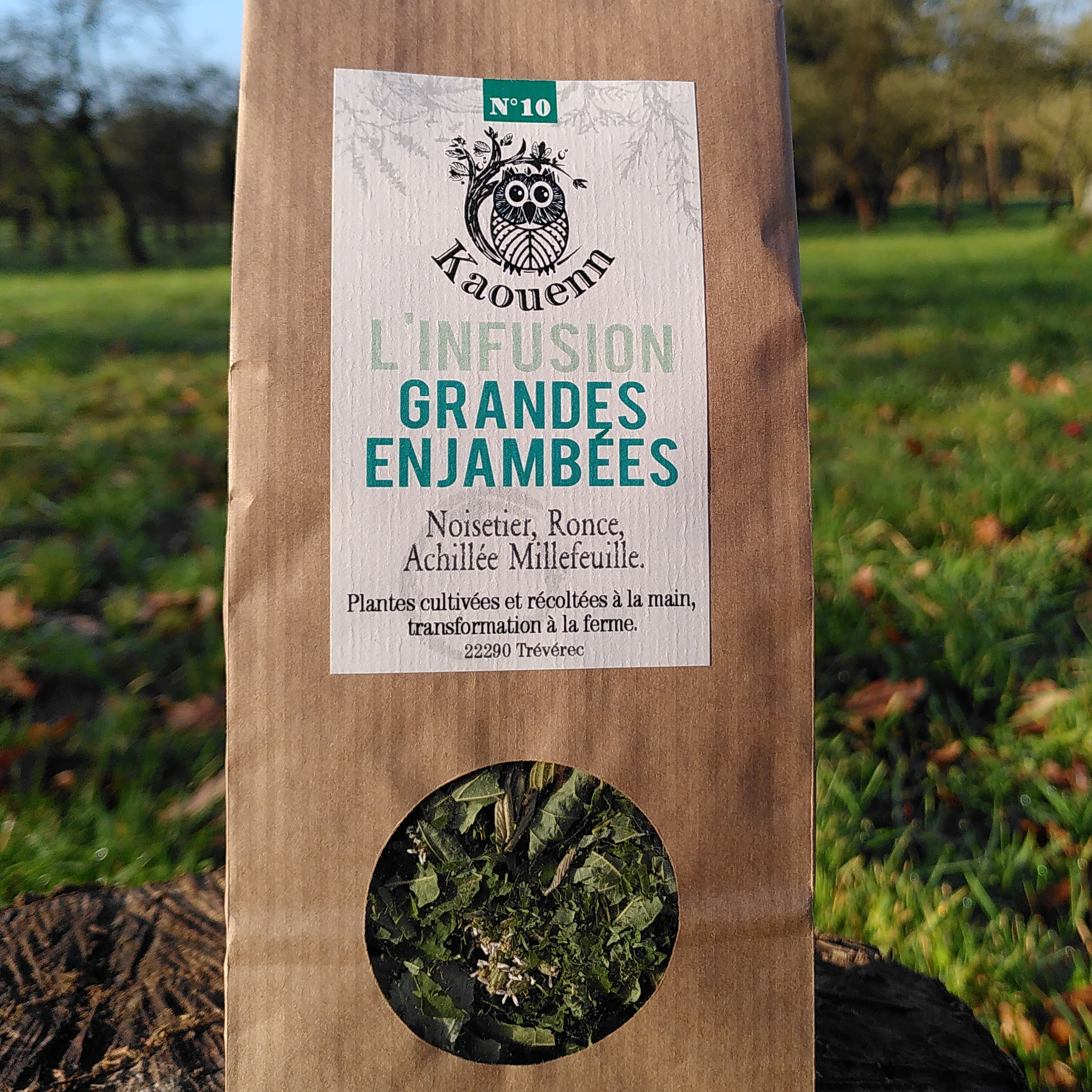 INFUSION GRANDES ENJAMBÉES - 25g