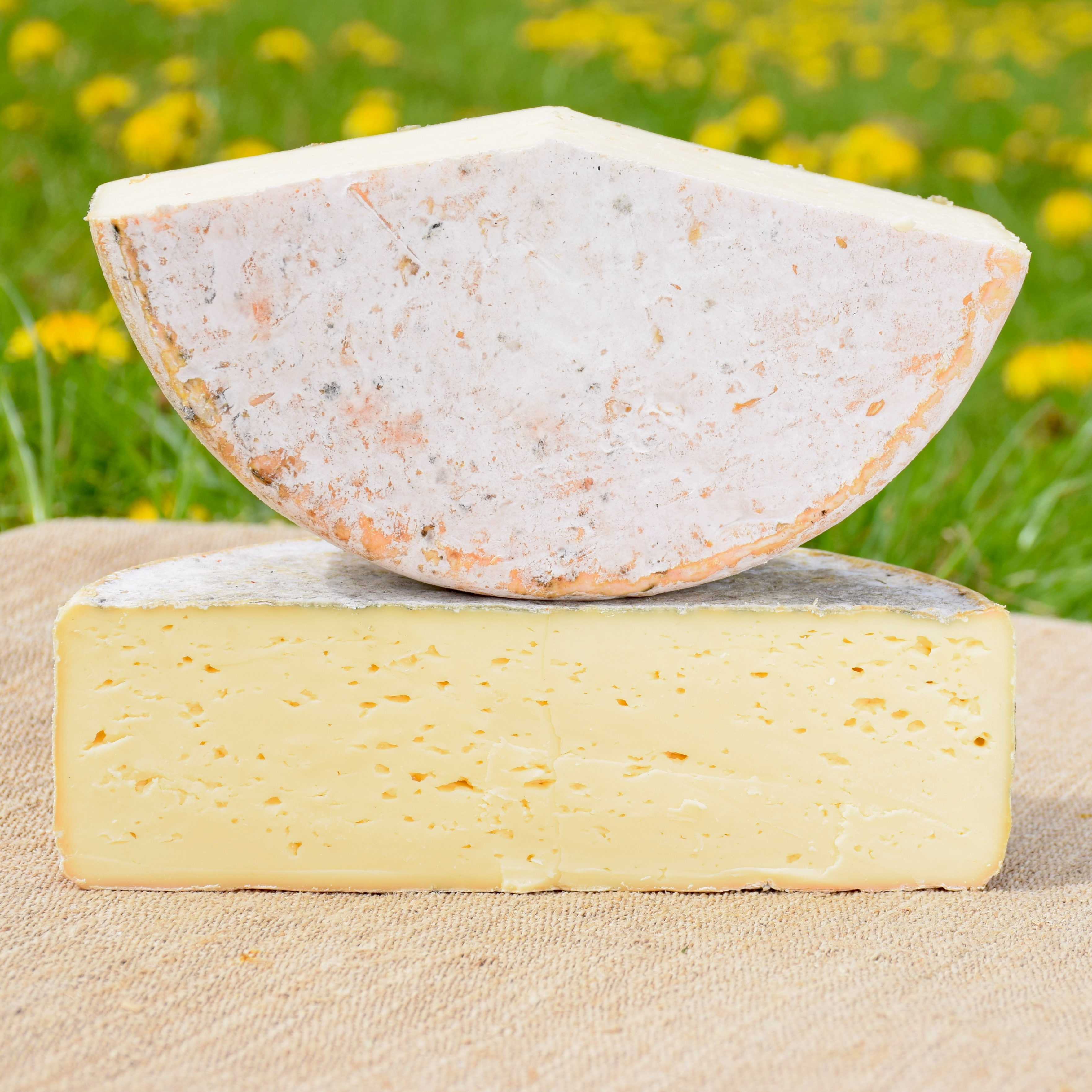 Tomme affinée