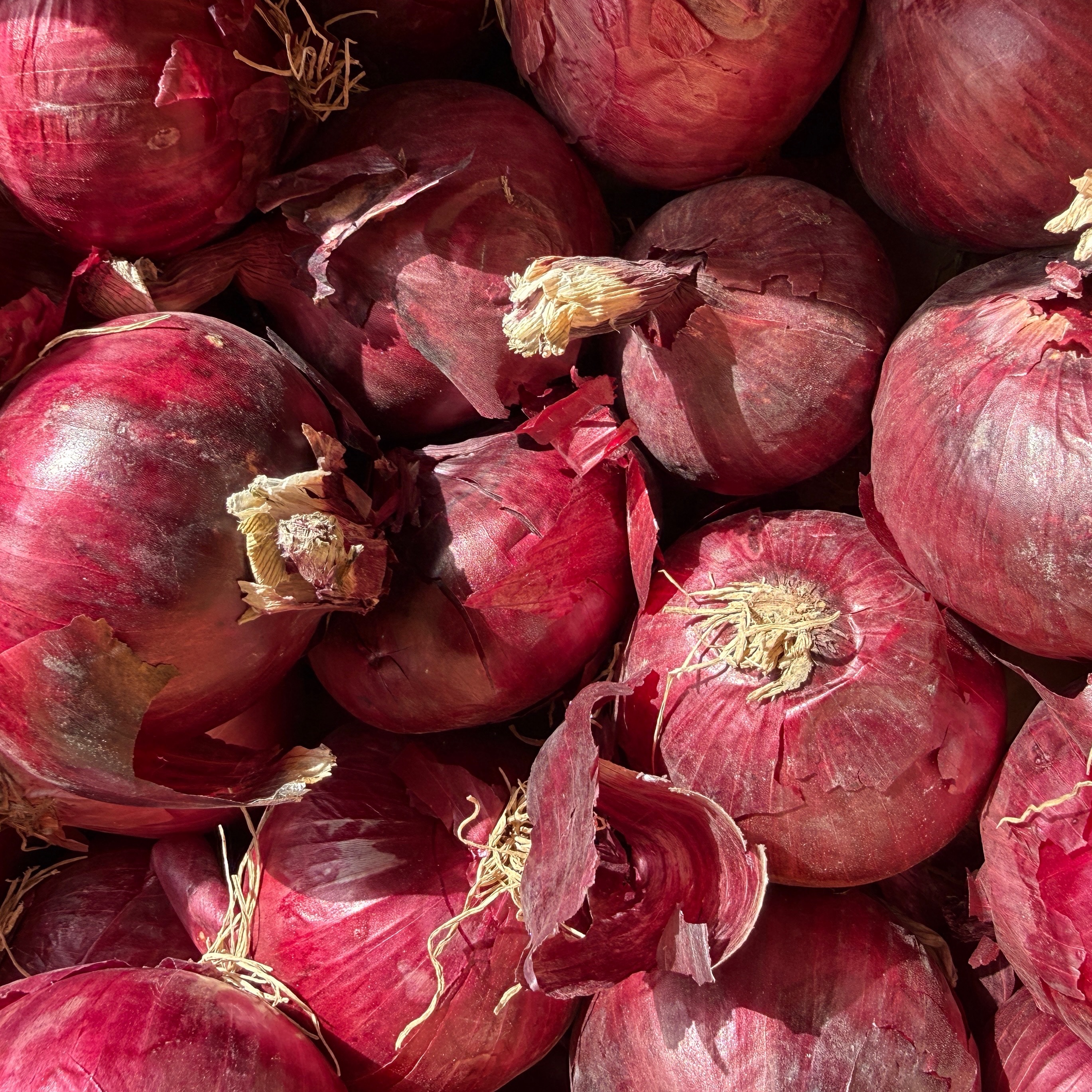Oignon rouge 500g - 0,5kg