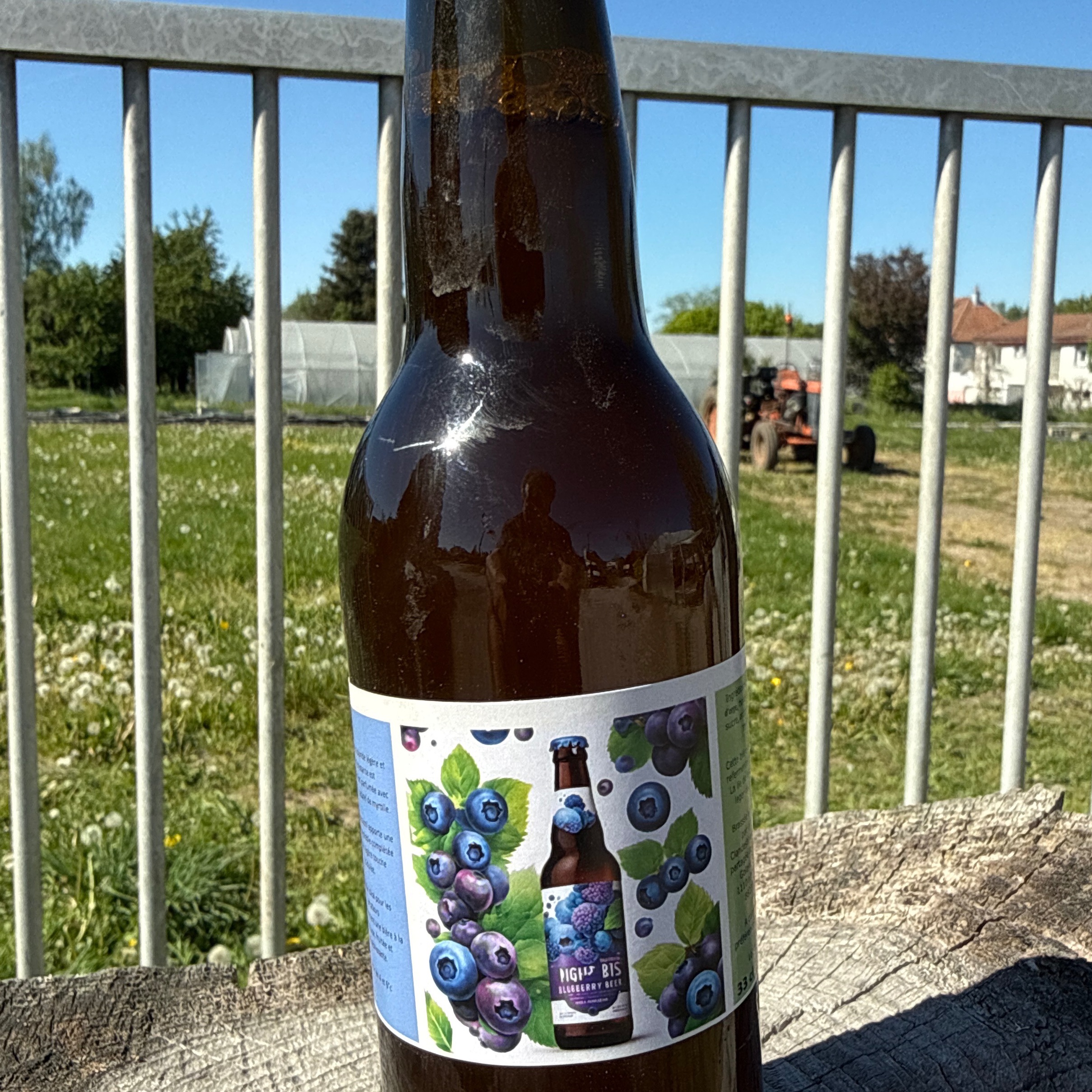 Bière blonde myrtilles 33 cl Clandestine