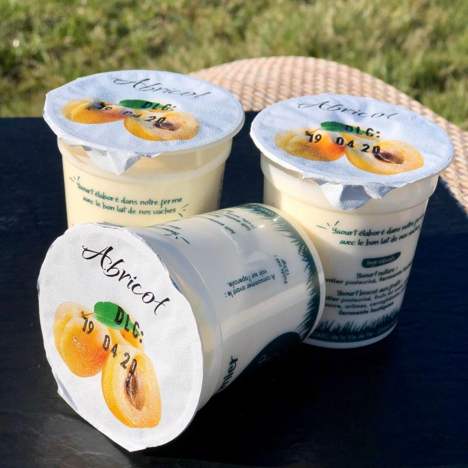 YAOURT AROMATISE ABRICOT - 12cl