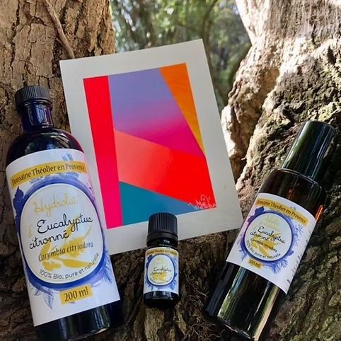 Coffret Eucalyptus Citronné - L'intégrale
