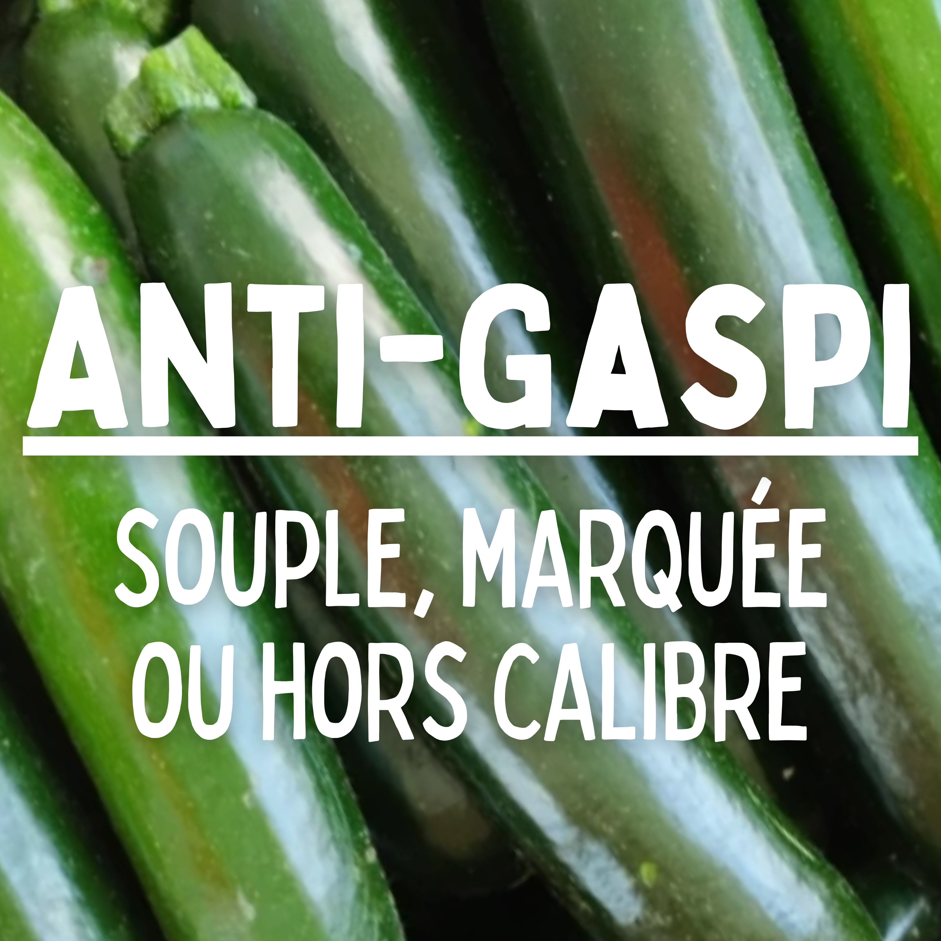 Courgette ANTI GASPI - 1 kg