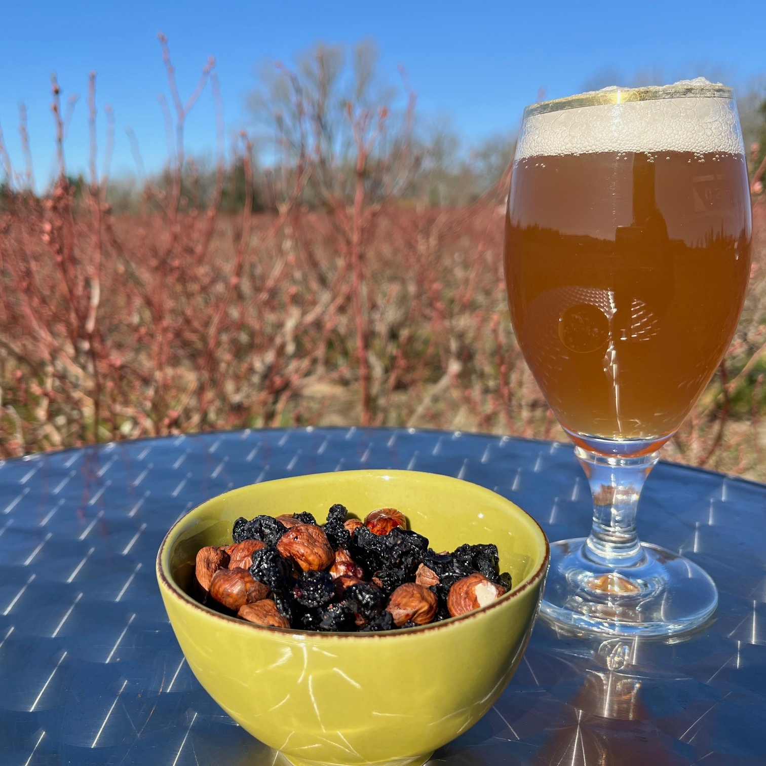 "Apéro" mélange noisettes & myrtilles - Sachet 100g - 100g