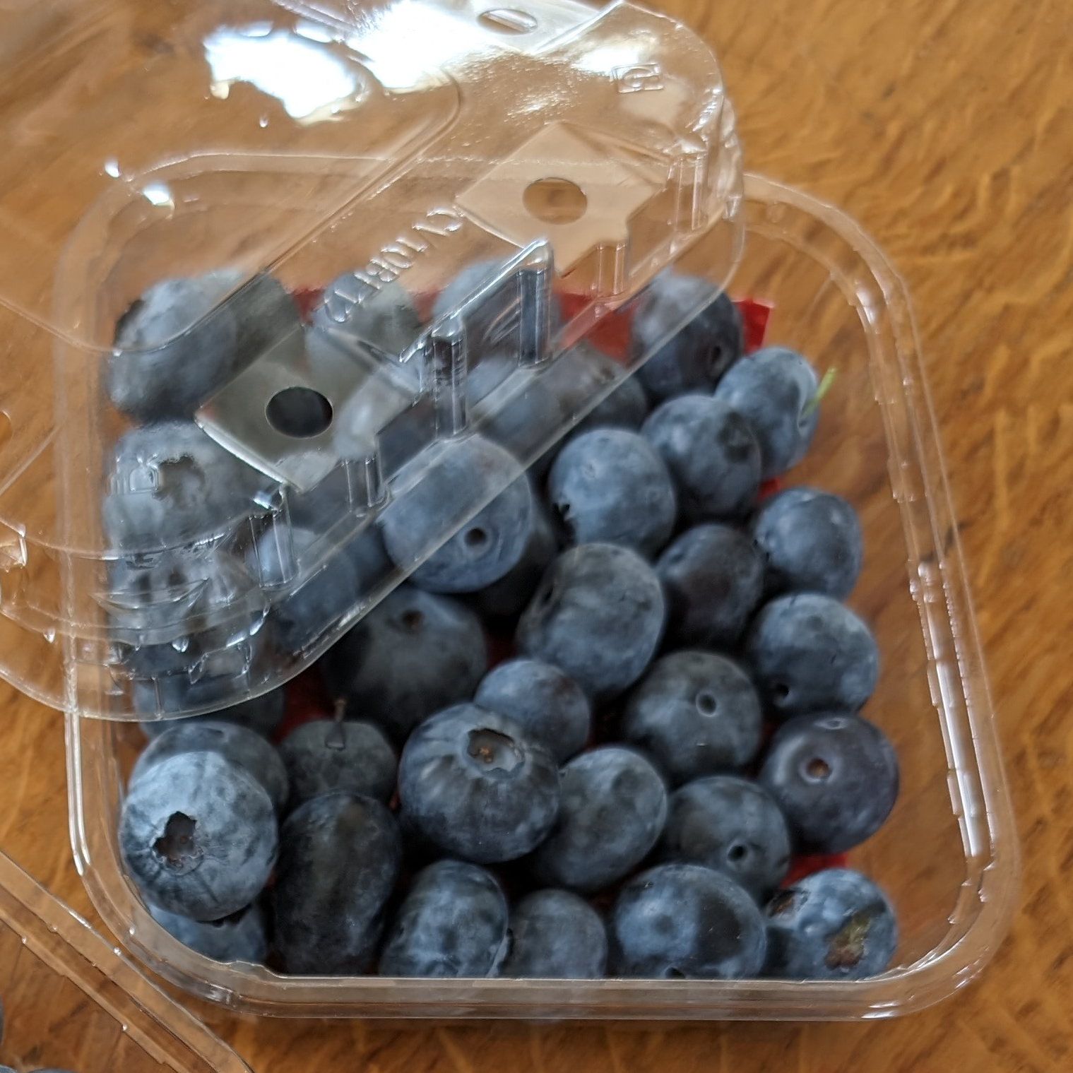 Myrtilles fraiches récoltées à la mains - 250g