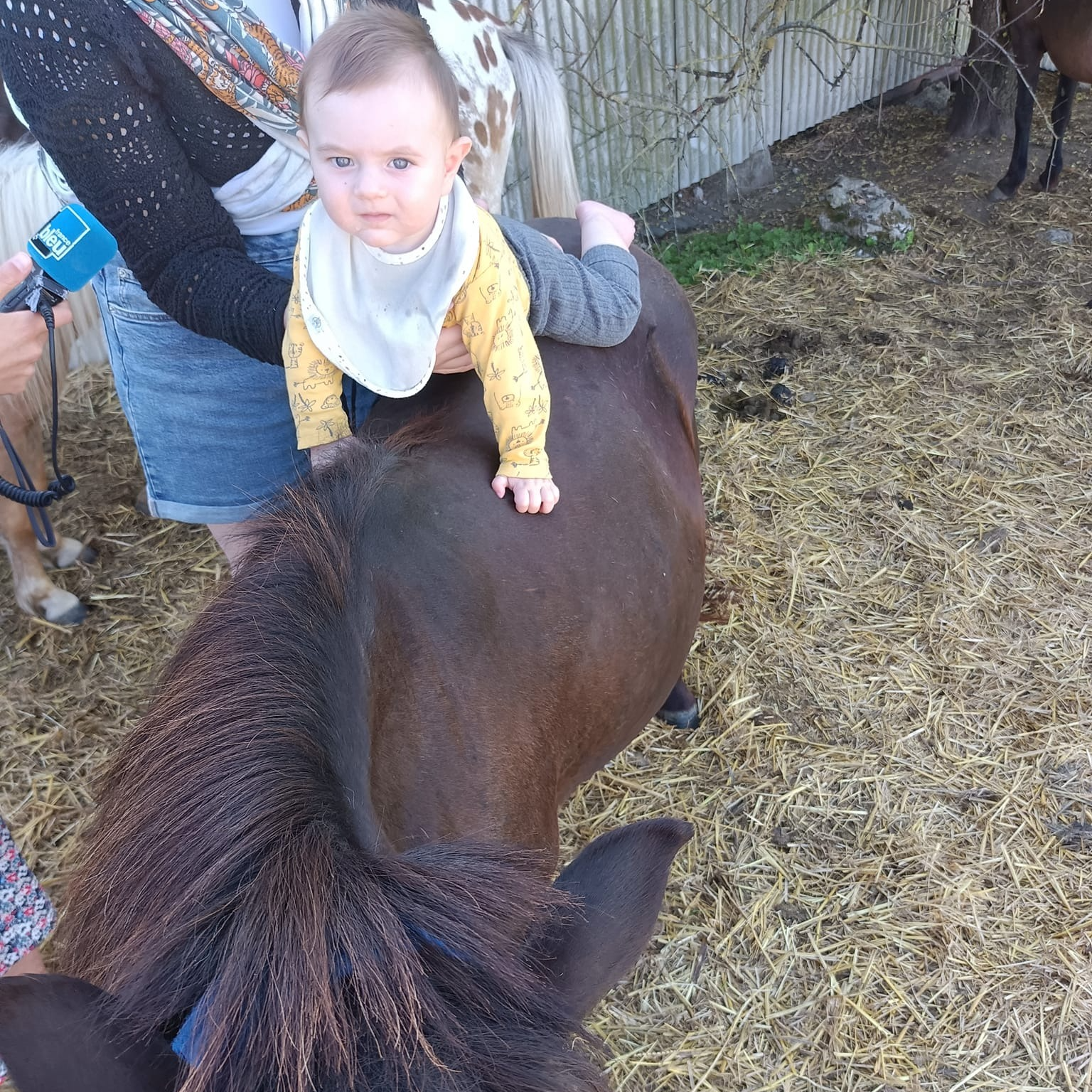 Séance équi-bébé