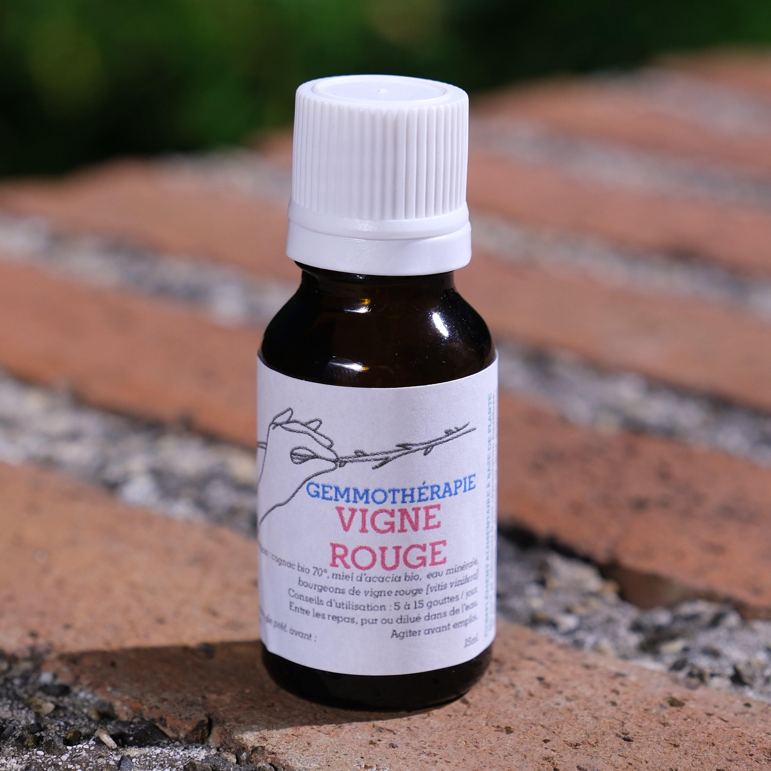 Vigne rouge • Ostéo-articulaire & Génitale - 15ml