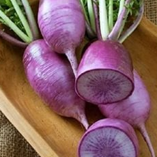 Radis rave violet - 0,2kg