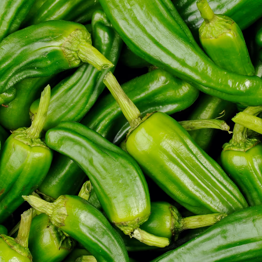 Poivron mini type padron (barquette) - 250g