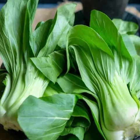 Brède chou de chine petit "Tom pouce"  (botte)