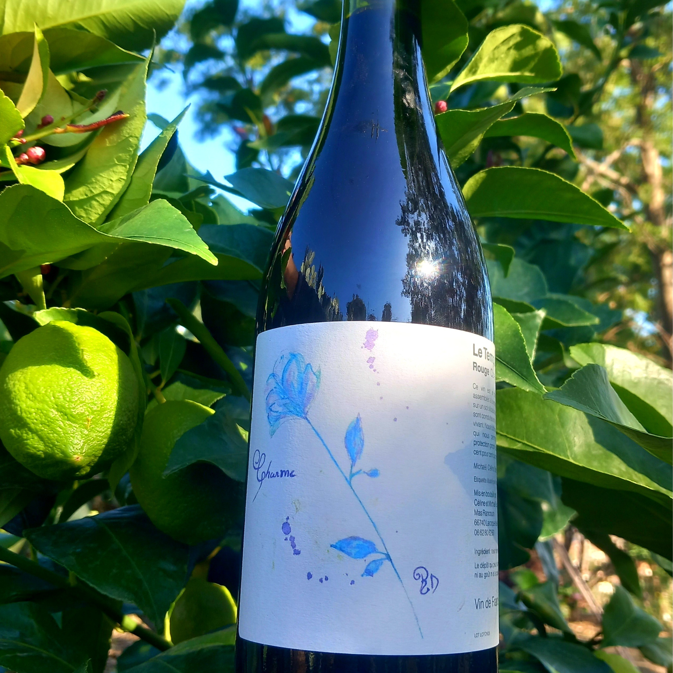 Charme Millésime 2023