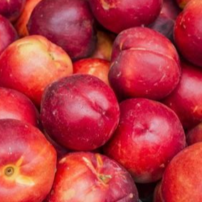 Nectarine