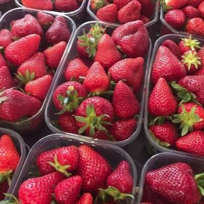 Fraises