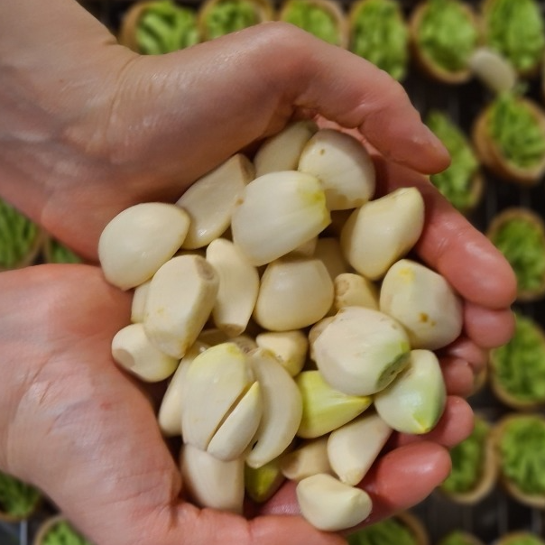 12 Escargots en cRoquille fumé - 90g