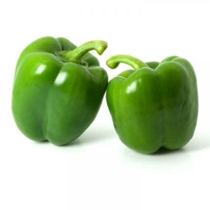 Poivron
