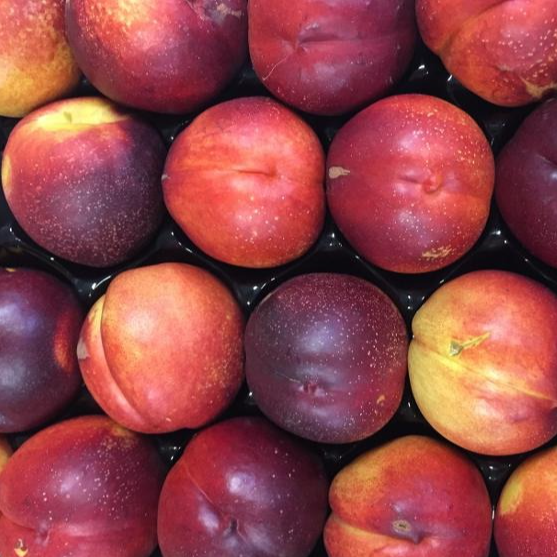Nectarines (orignie: France)