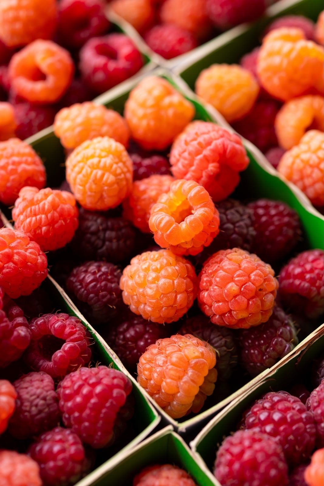 Framboises Bio en 125g - 125g