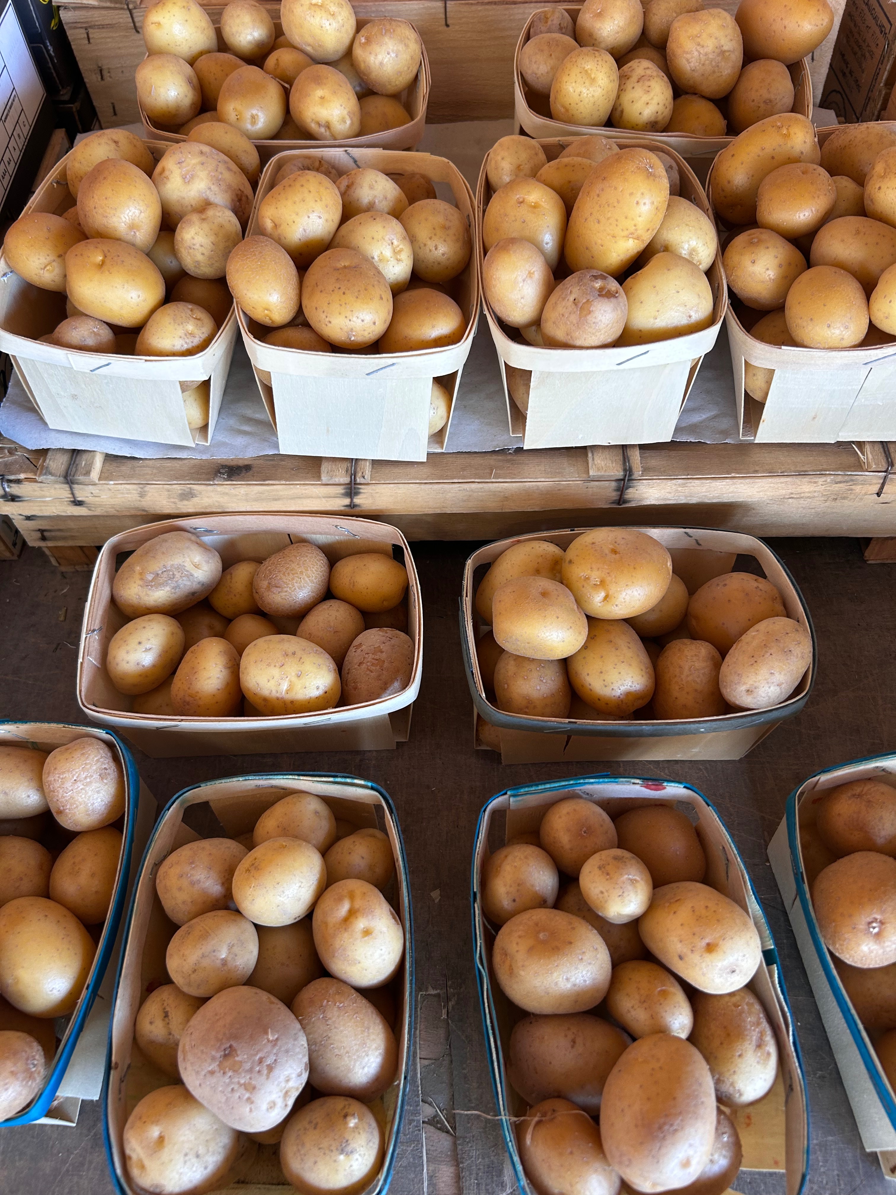POMME DE TERRE GRENAILLE
