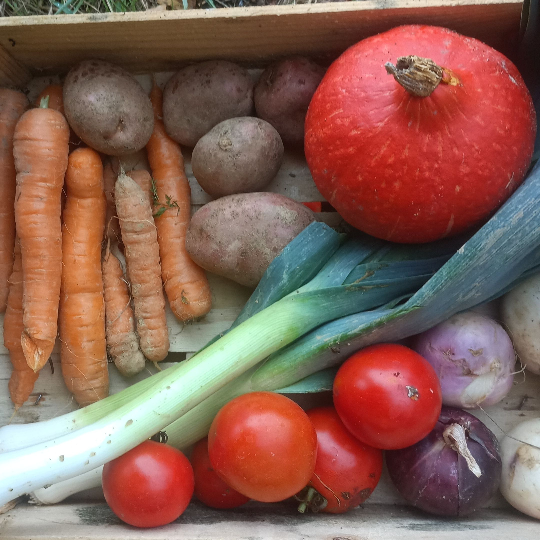 Panier de légumes à 10€