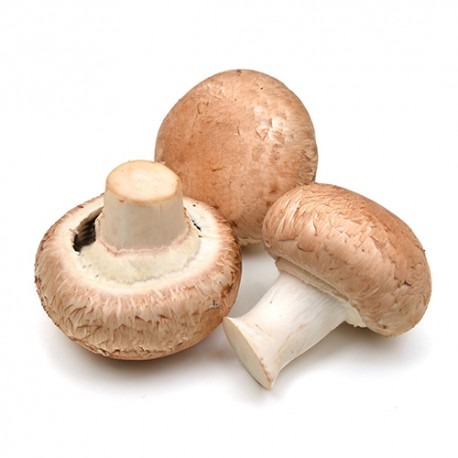Champignons de Paris petit calibre