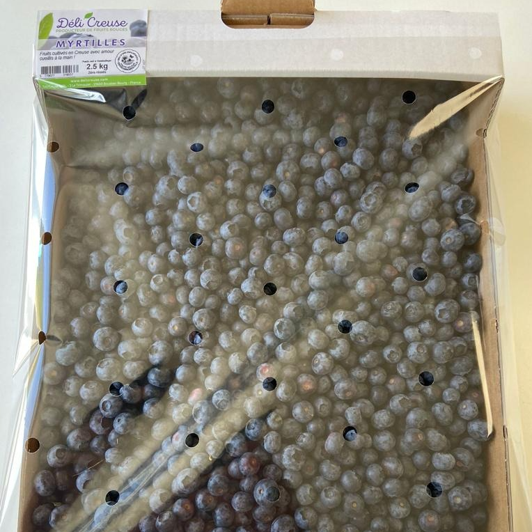 Plateau Vrac 2.5 Kg - Myrtilles cultivées fraiches - 2,5kg